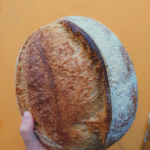 rustic white cob